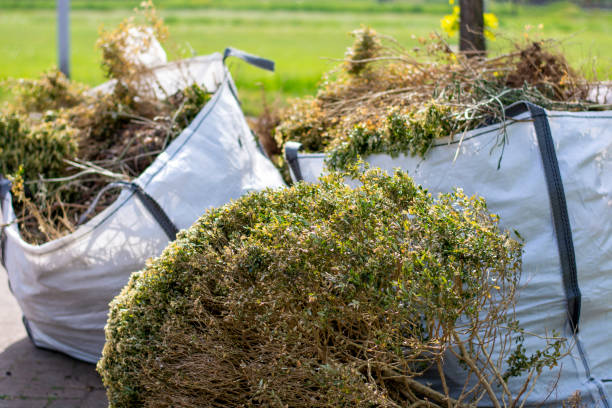 Best Hoarding Cleanup  in Harwood Heights, IL